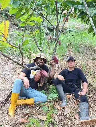 On the farm, beside a cacao tree, holding a freshly cut pod.