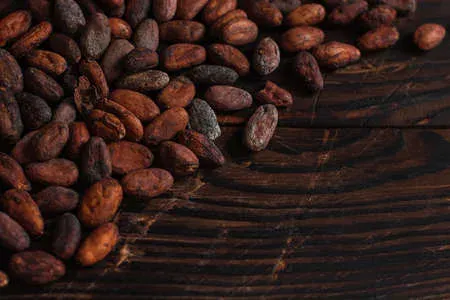 Raw dried cacao beans on a dark wooden table.