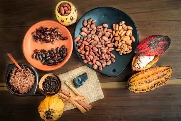 Cacao beans, nibs and cacao paste on a wooden table.